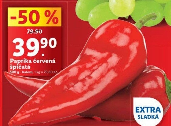 Rostlina