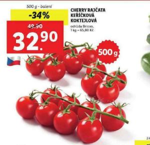 Rostlina