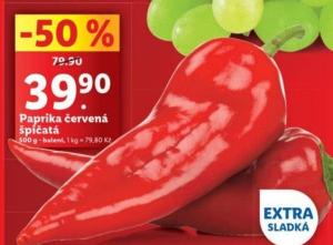 Rostlina